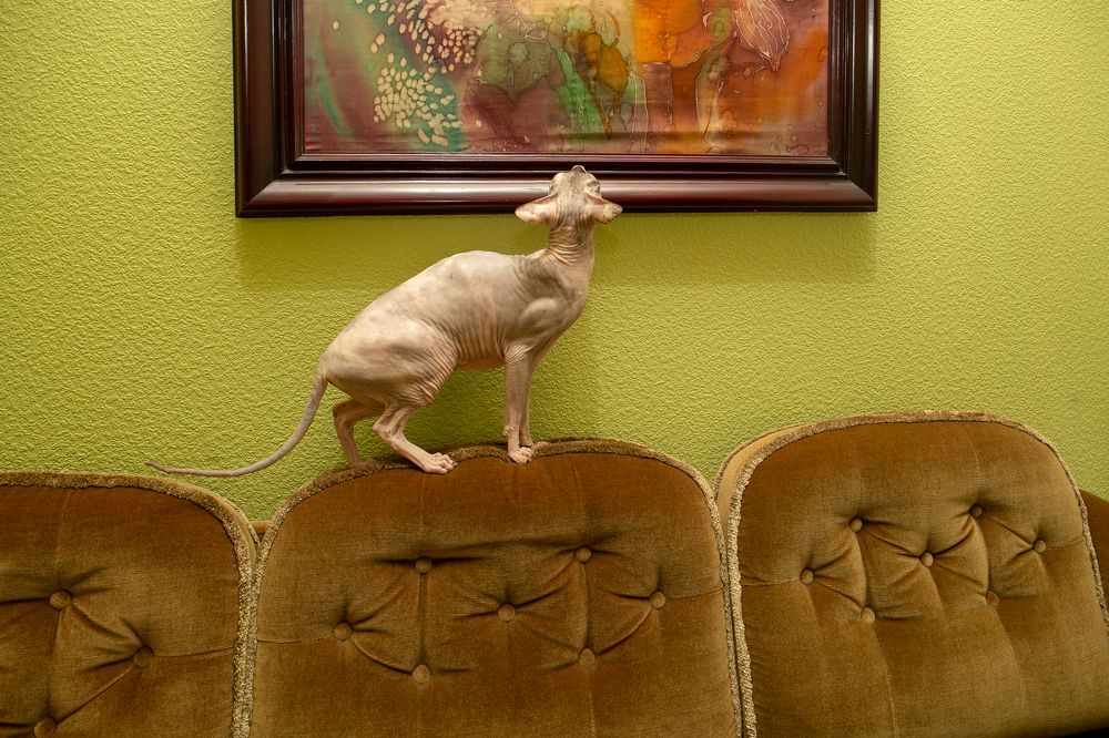 Photograph by Наталья Катюжанская