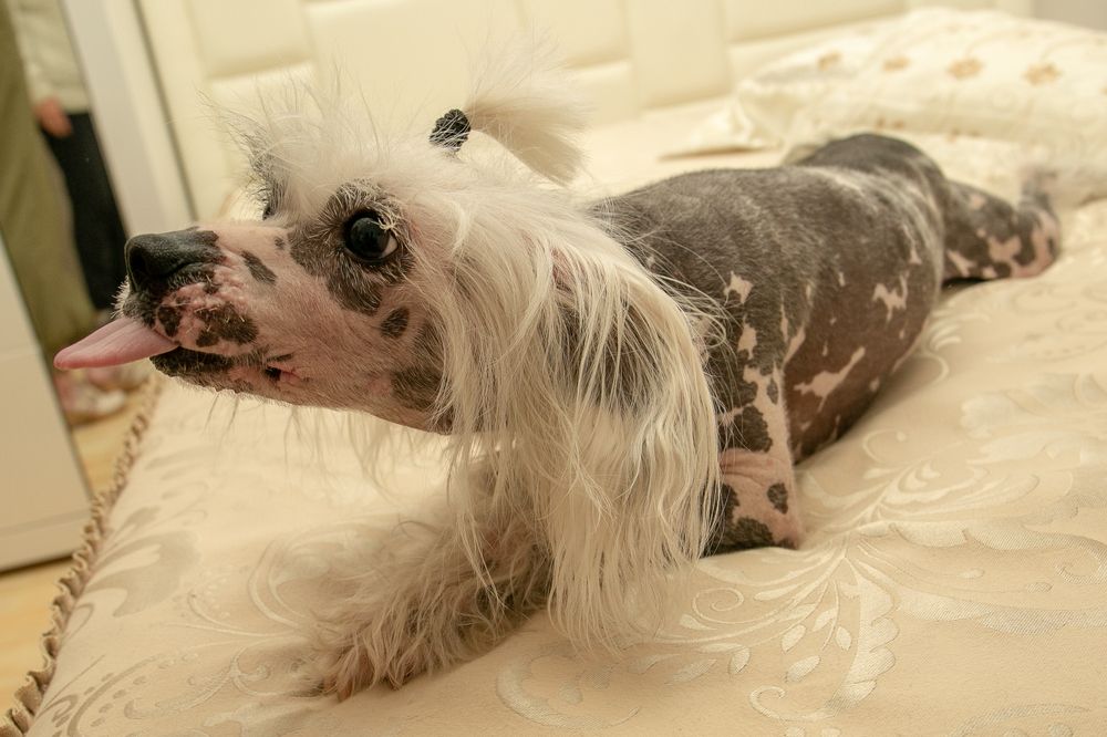 Photograph by Наталья Катюжанская