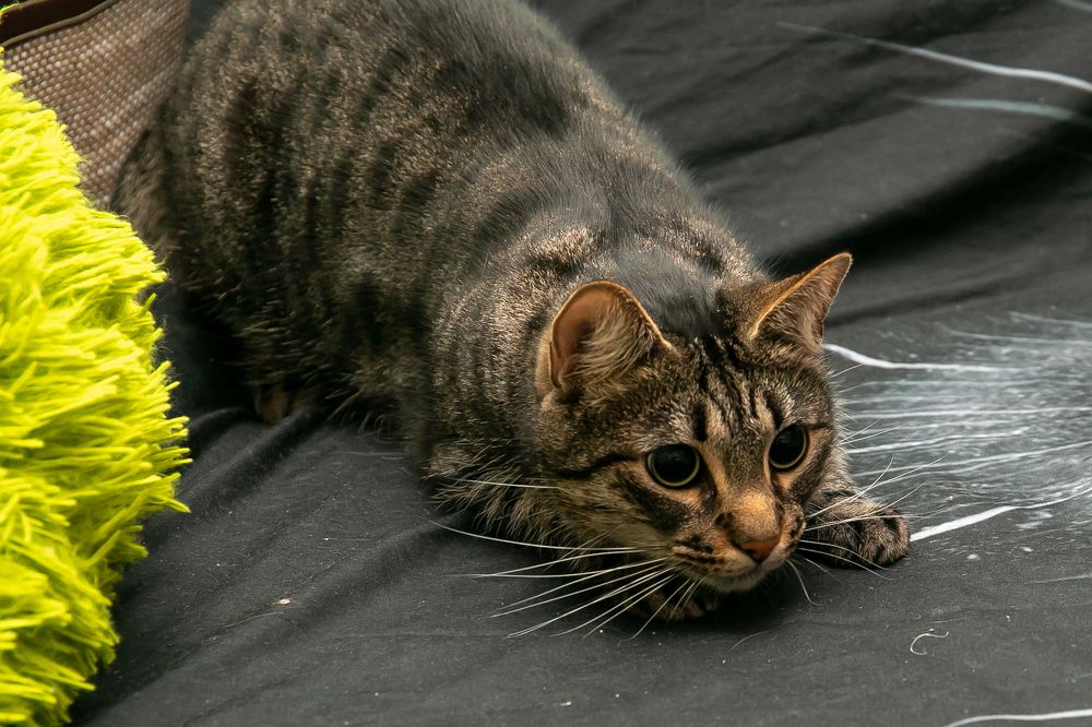 Photograph by Наталья Катюжанская