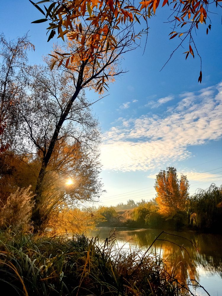 Photograph by Наталья Балеевских