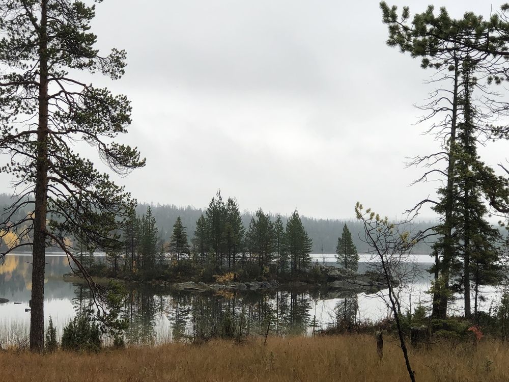 Photograph by Светлана Лисеева
