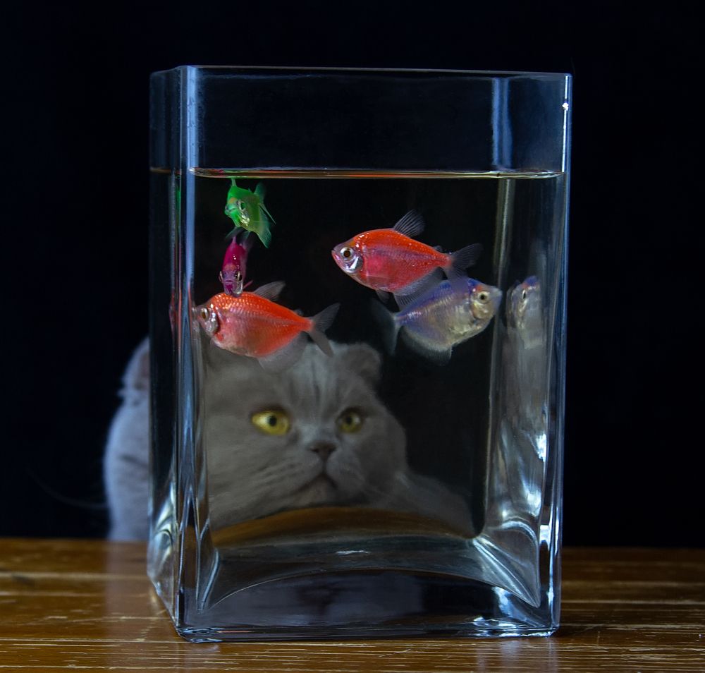 Photograph by Татьяна Феденкова