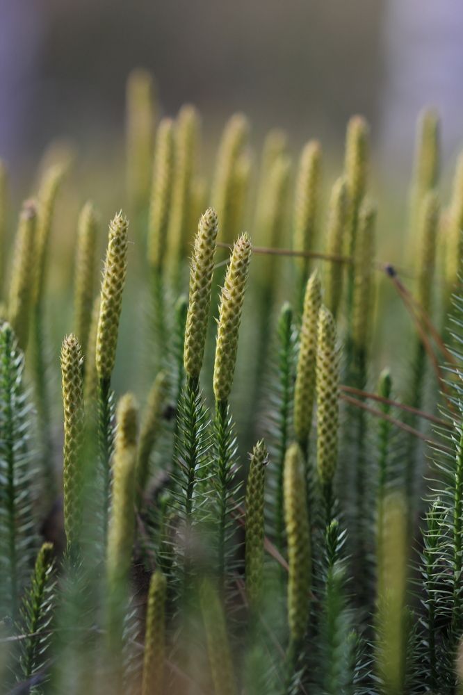 Photograph by Андрей Головин