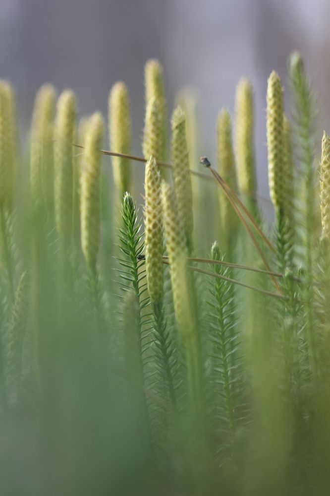 Photograph by Андрей Головин