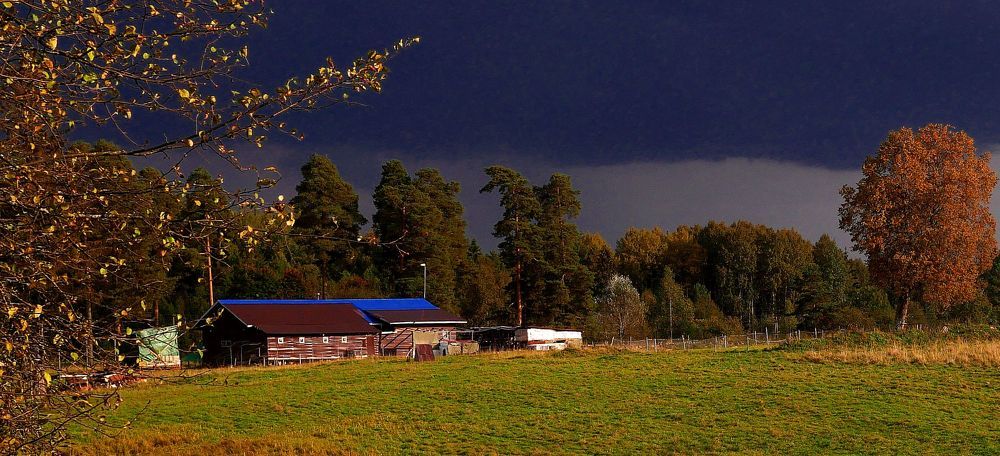 Photograph by Александр Пинаев