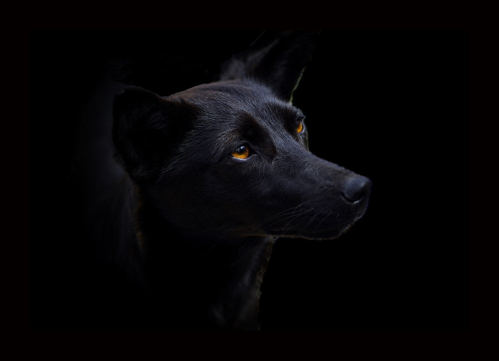 Photograph by Арсен Алабердов