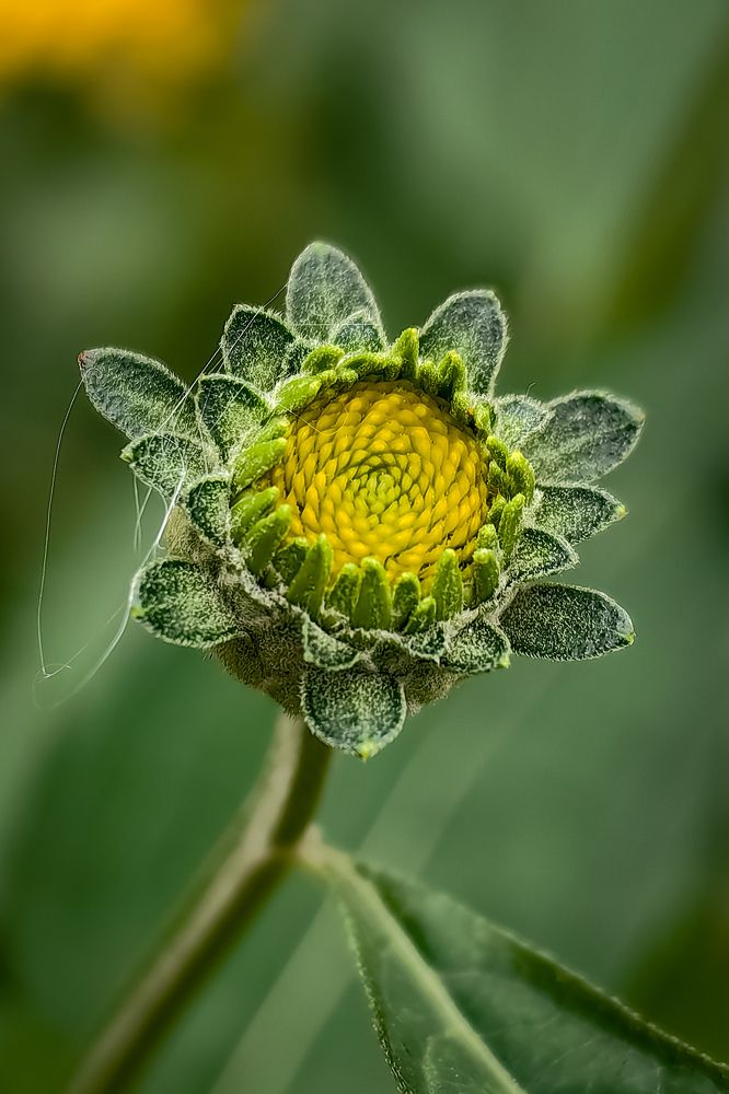 Photograph by Татьяна Бравая