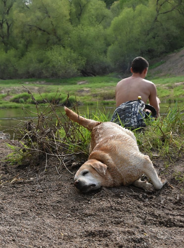 Фотография автора Catherine Shashkova