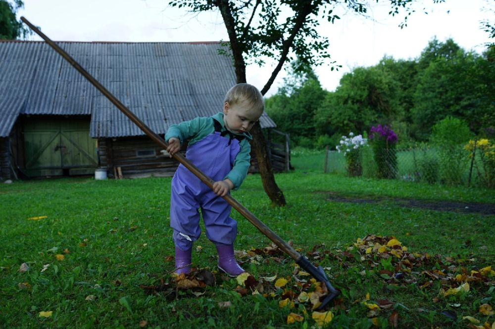 Photograph by Василий Селиванов
