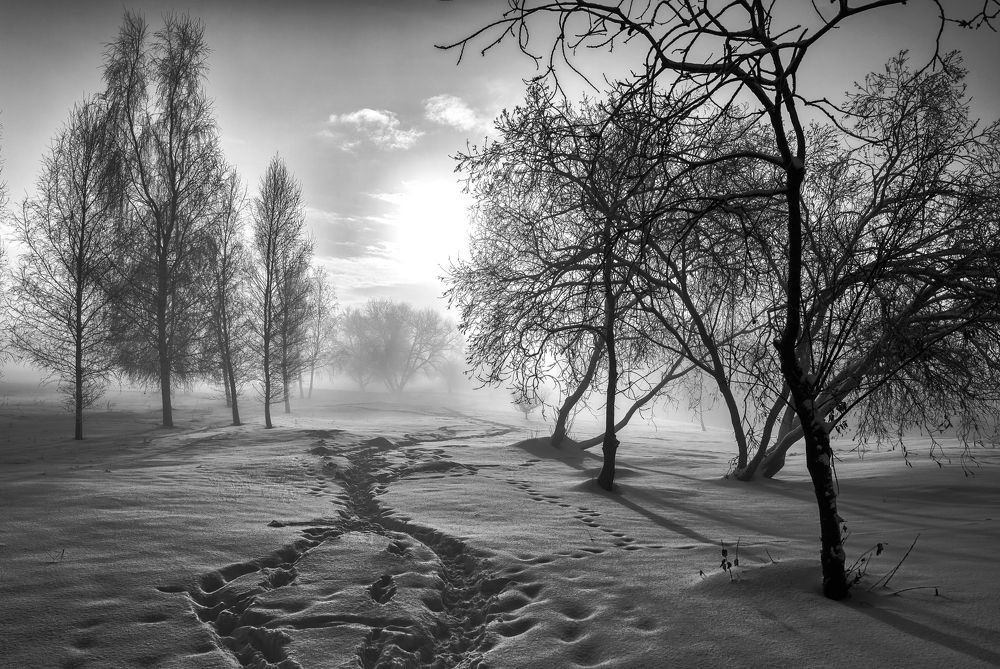 Photograph by Janis Serdienis