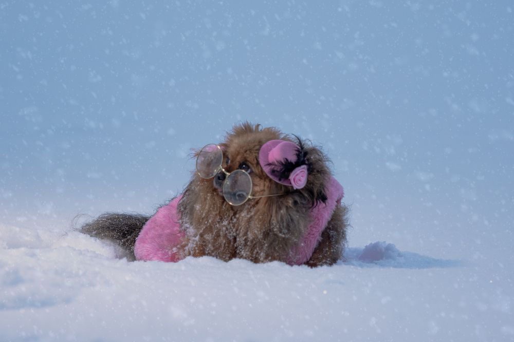 Photograph by Елена Бондарь