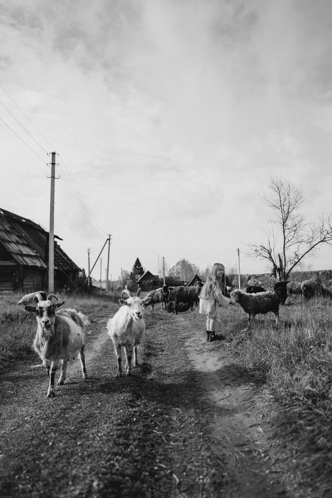 Photograph by Дарья Чернякова