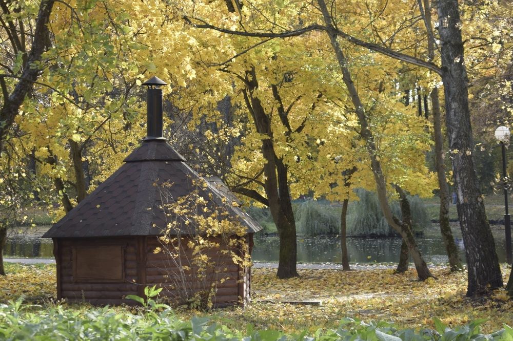 В городском парке