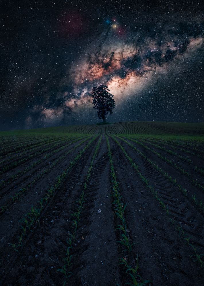 Photograph by Tomas Andonie