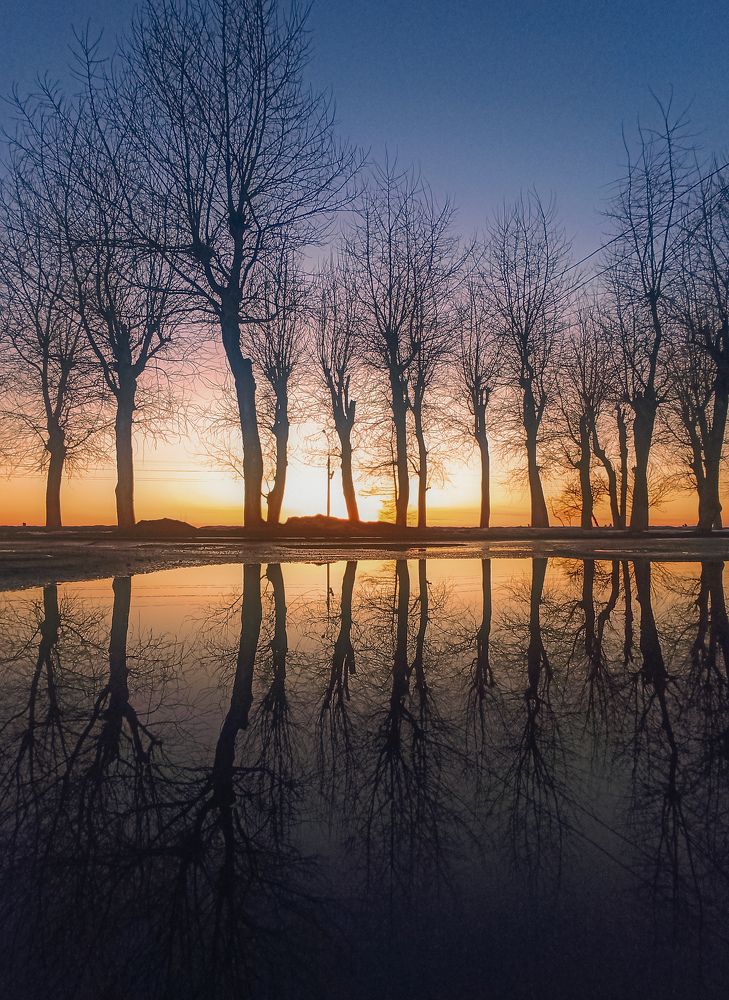 Photograph by Ольга Ситникова