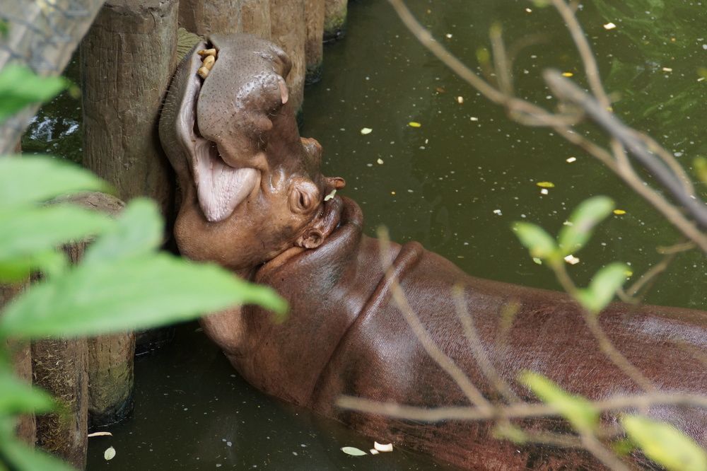 Photograph by Андрей Елькин