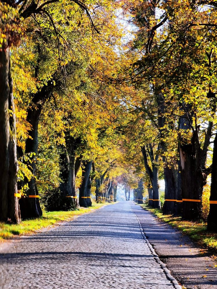 Photograph by Елизавета Лай