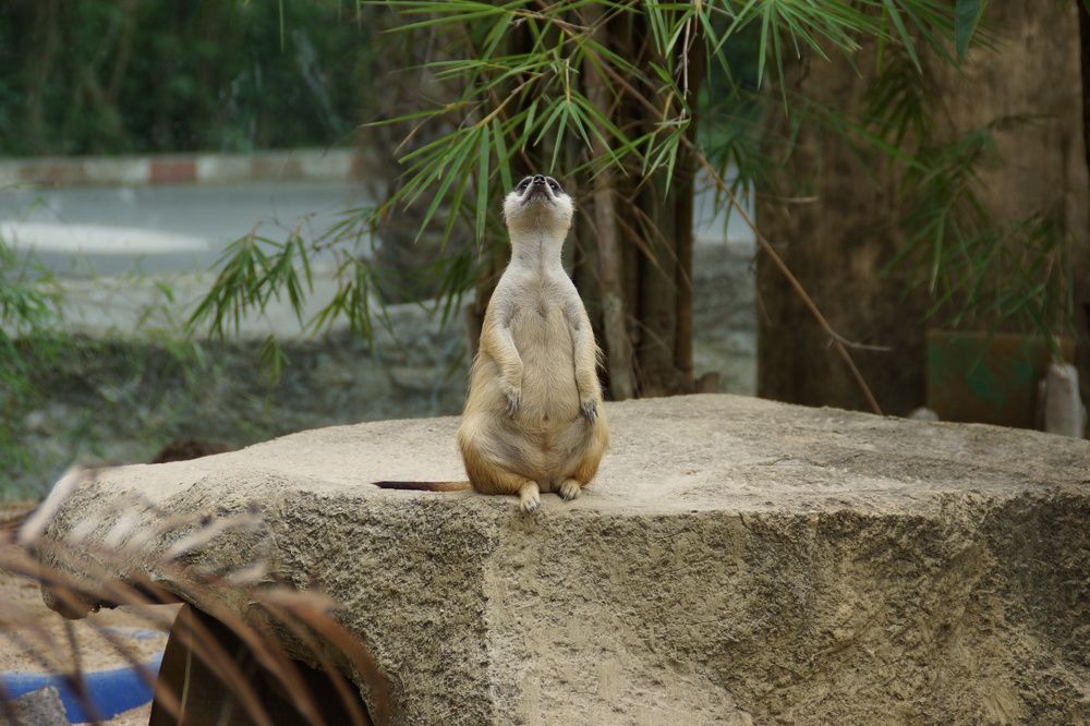 Photograph by Андрей Елькин