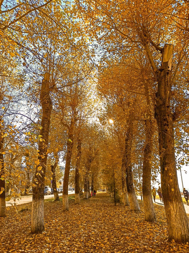 Photograph by Ольга Ситникова