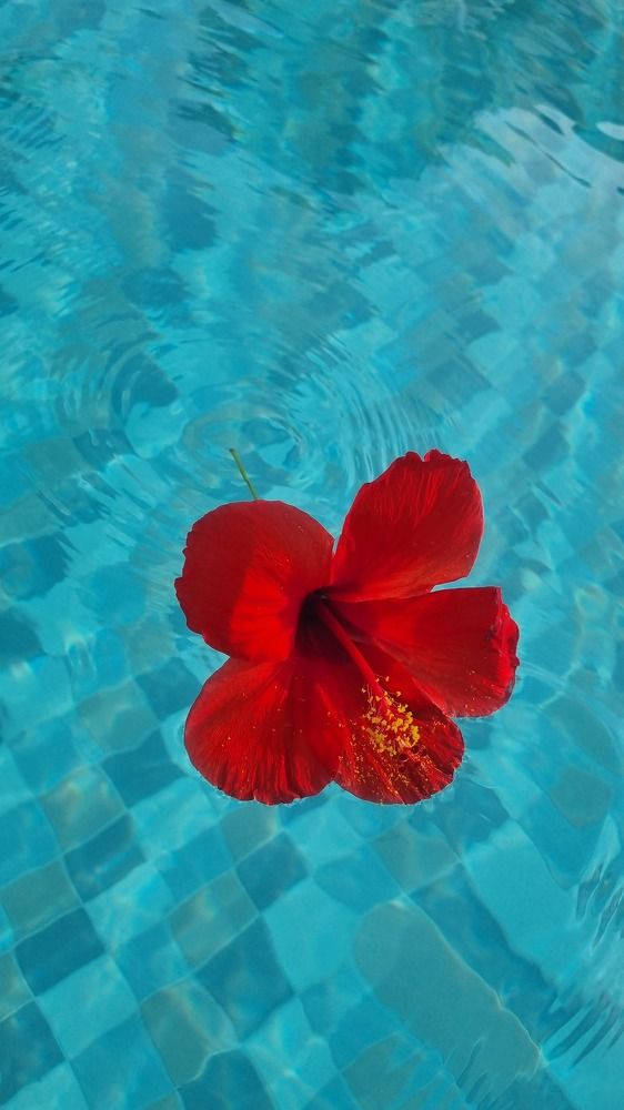 Photograph by Renata Sirazitdinova