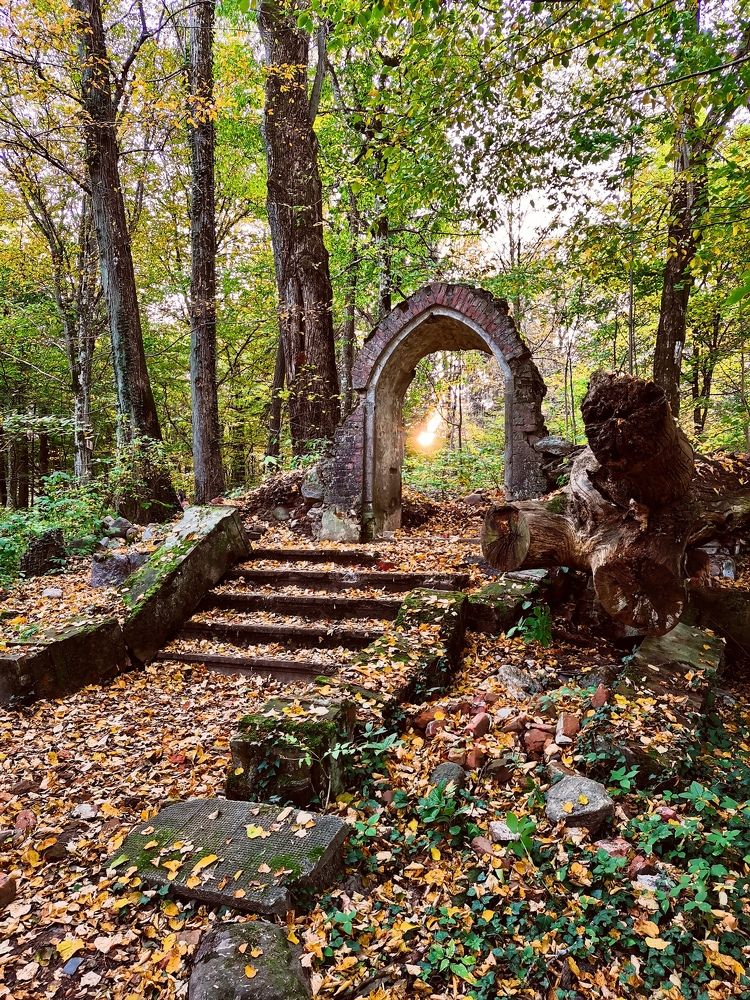 Photograph by Елизавета Лай