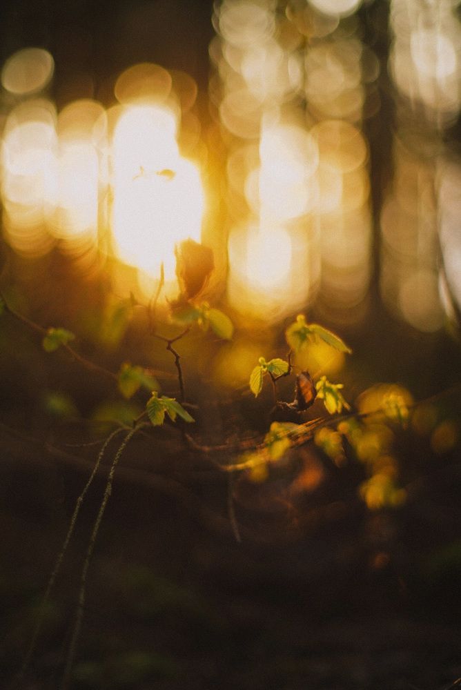 Photograph by Анна Якименко