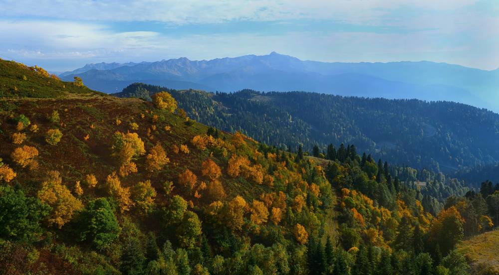 Photograph by Оксана Архипова