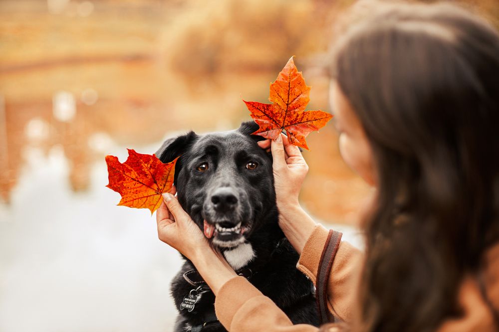 Photograph by Татьяна Степанова