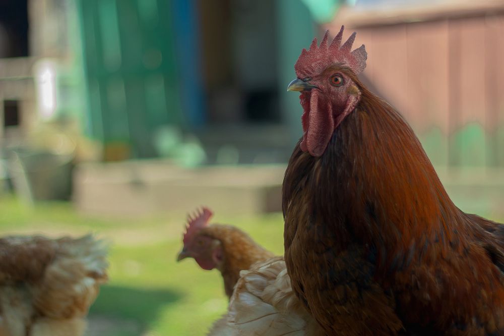 Photograph by Иван Левин