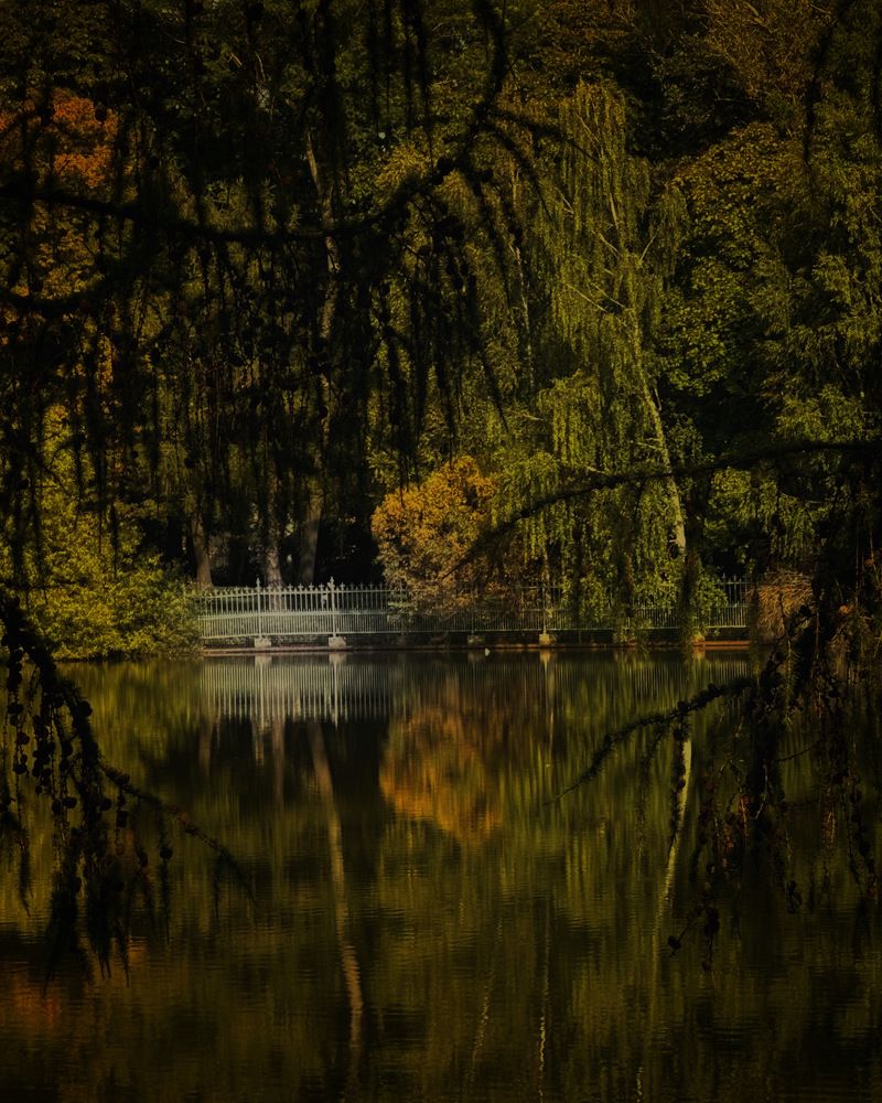 Photograph by Марина Танаева