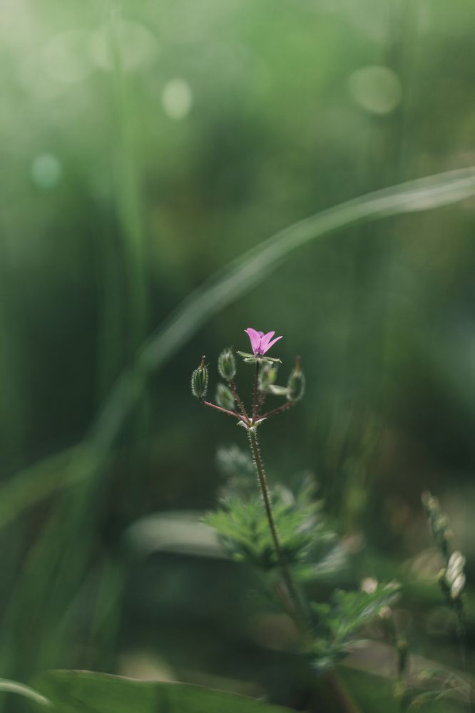 Photograph by Наталья Островцева