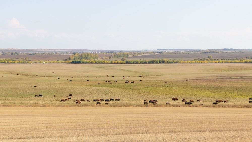 Photograph by Вячеслав