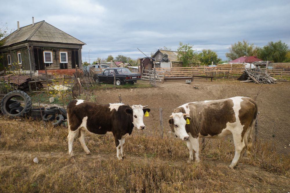 Photograph by Алла Никушкина