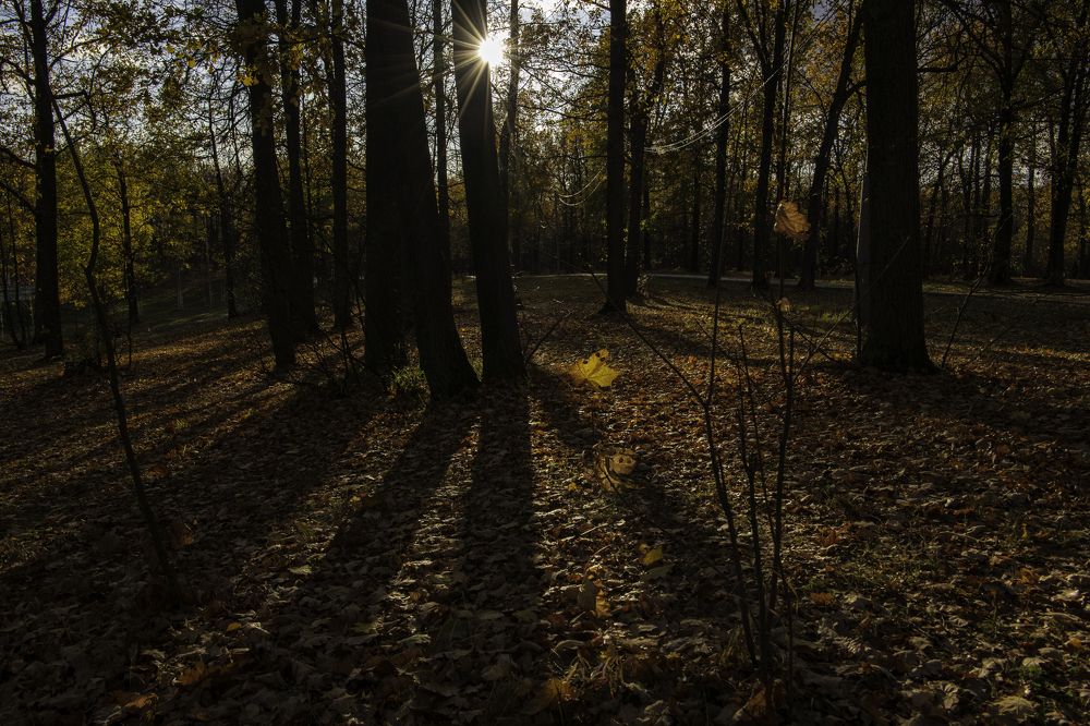 Photograph by Юрий Платухин