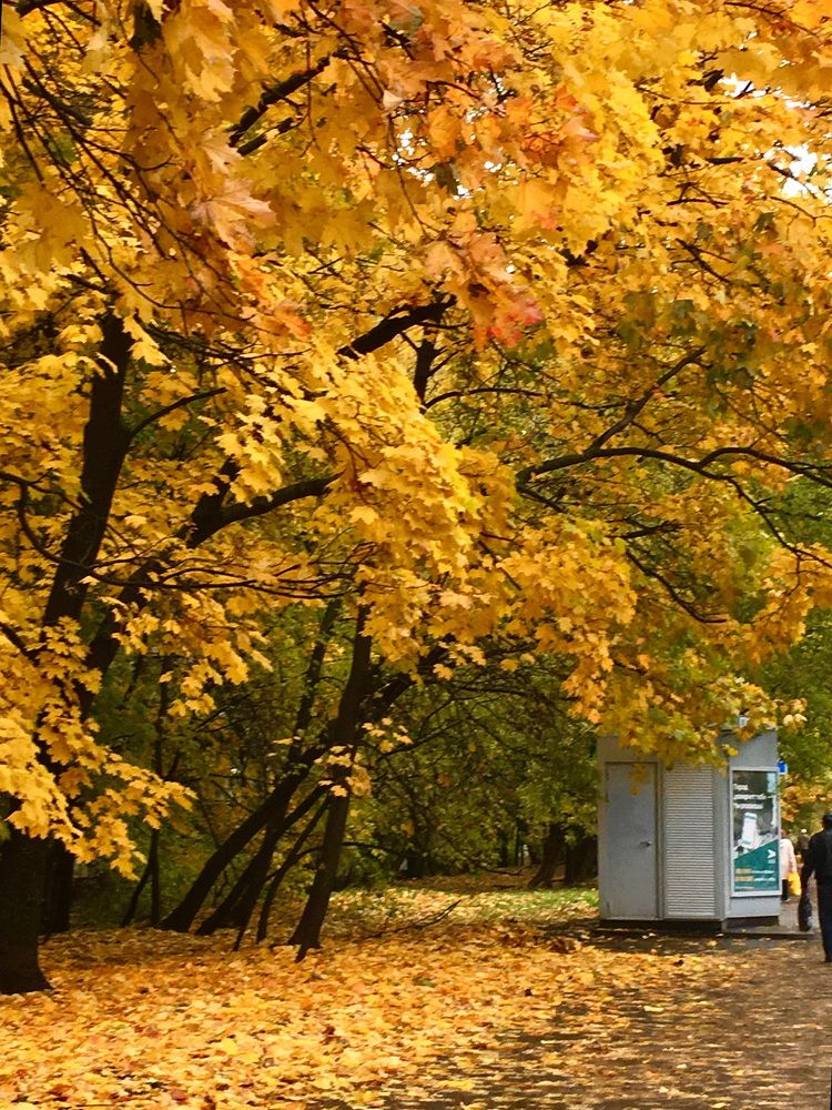 Photograph by Елена Макуха