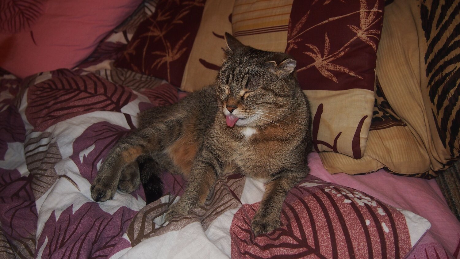Photo #9661586