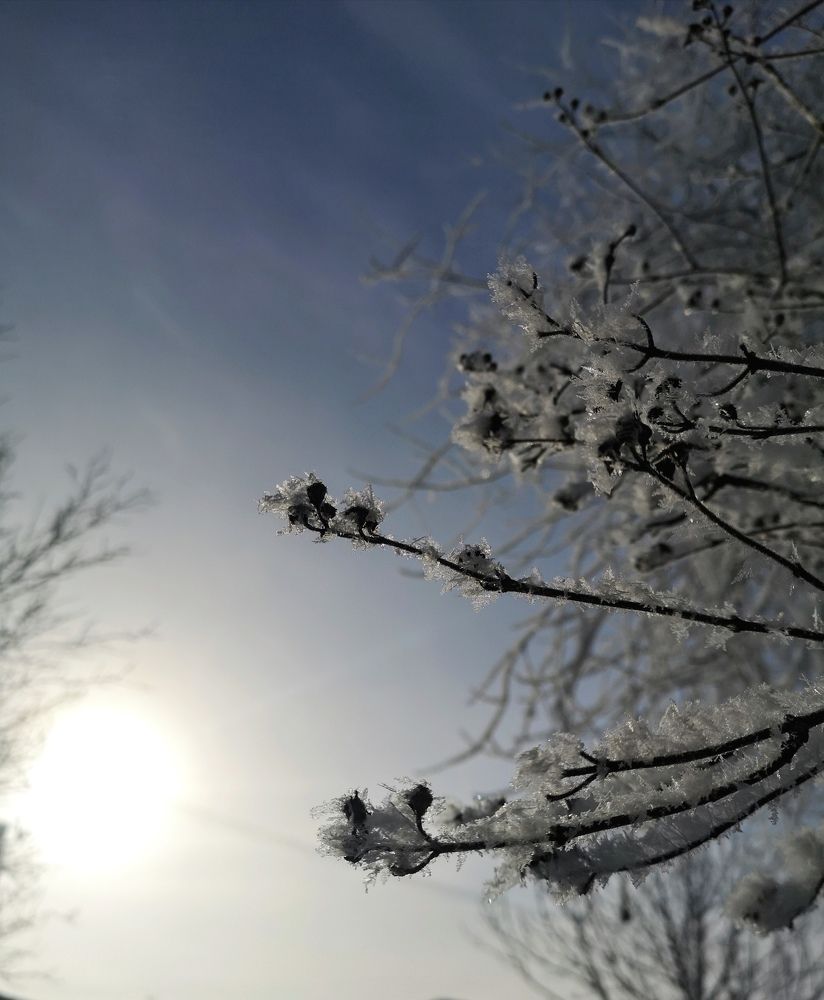 Photograph by Екатерина Борисовна Кузьмина