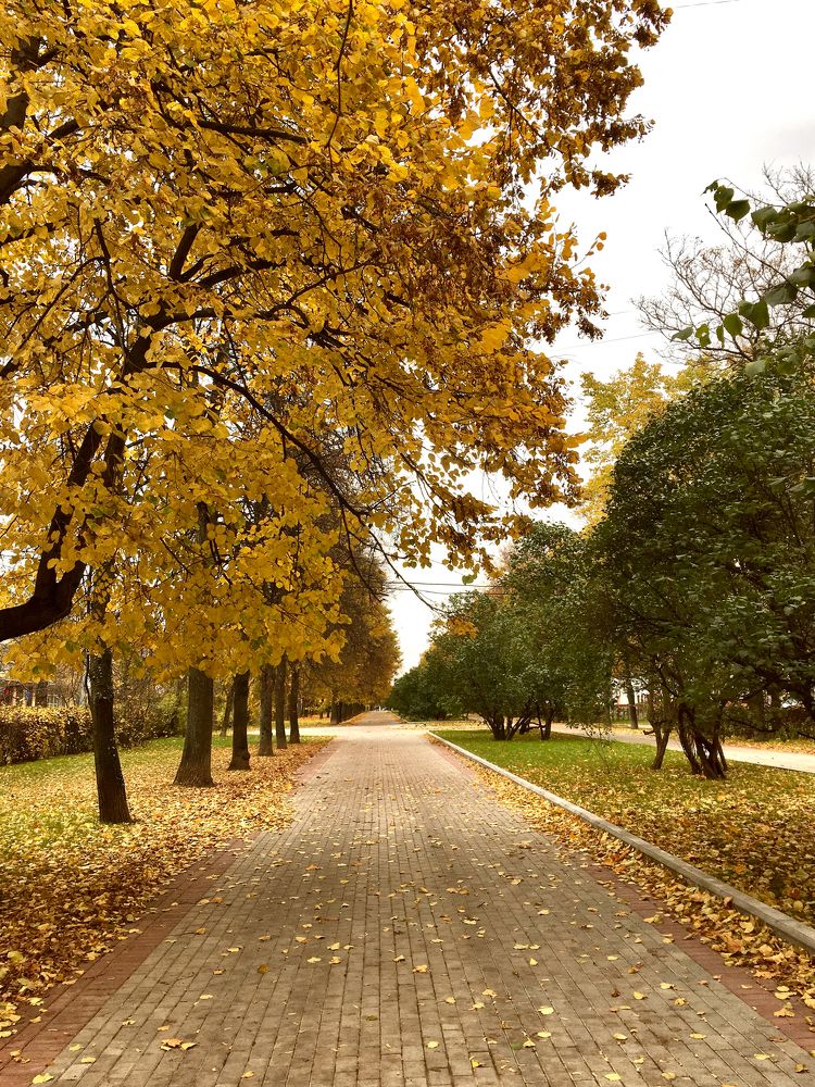 Photograph by Елена Макуха