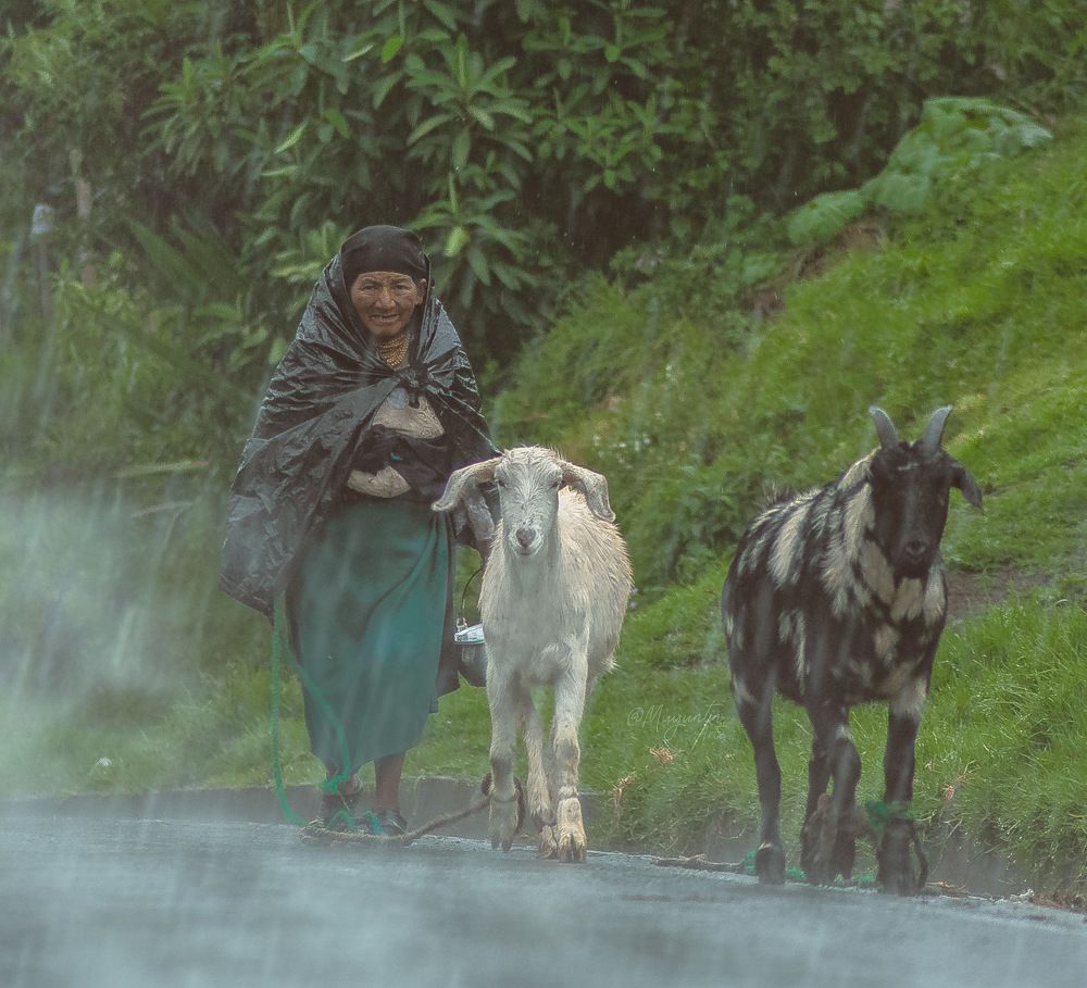 Photograph by Yauri Anrango