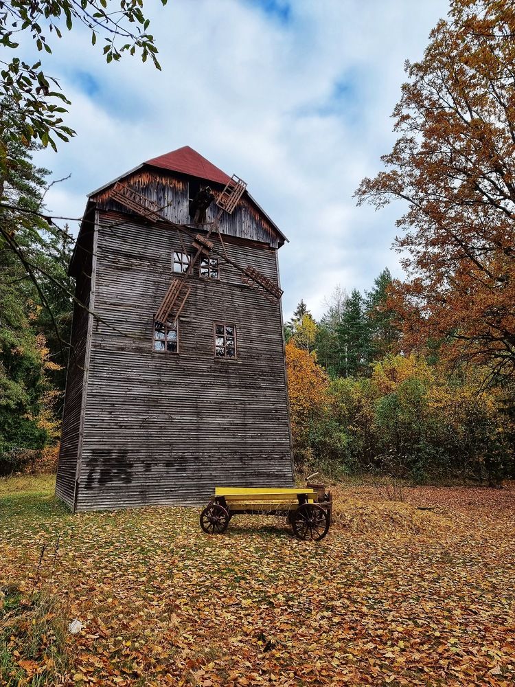 Фотография автора Дана Богинская