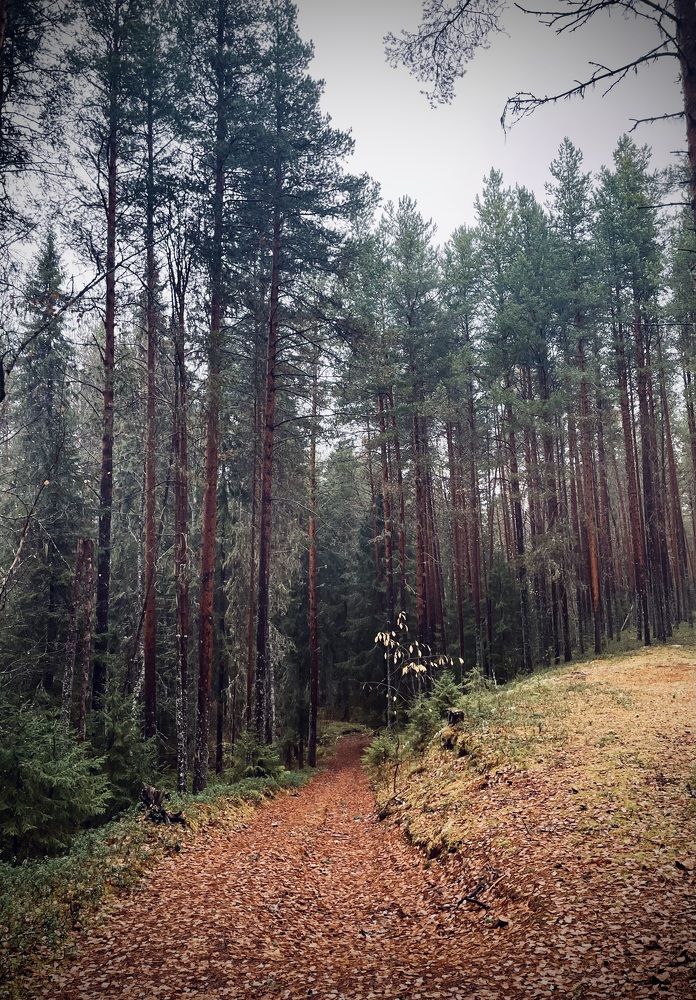 Photograph by Анастасия Авдеева