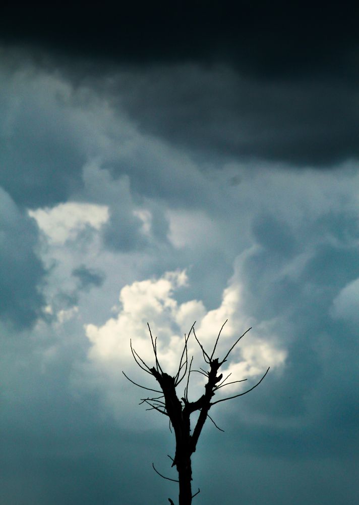 Photograph by Pheap Sophinh