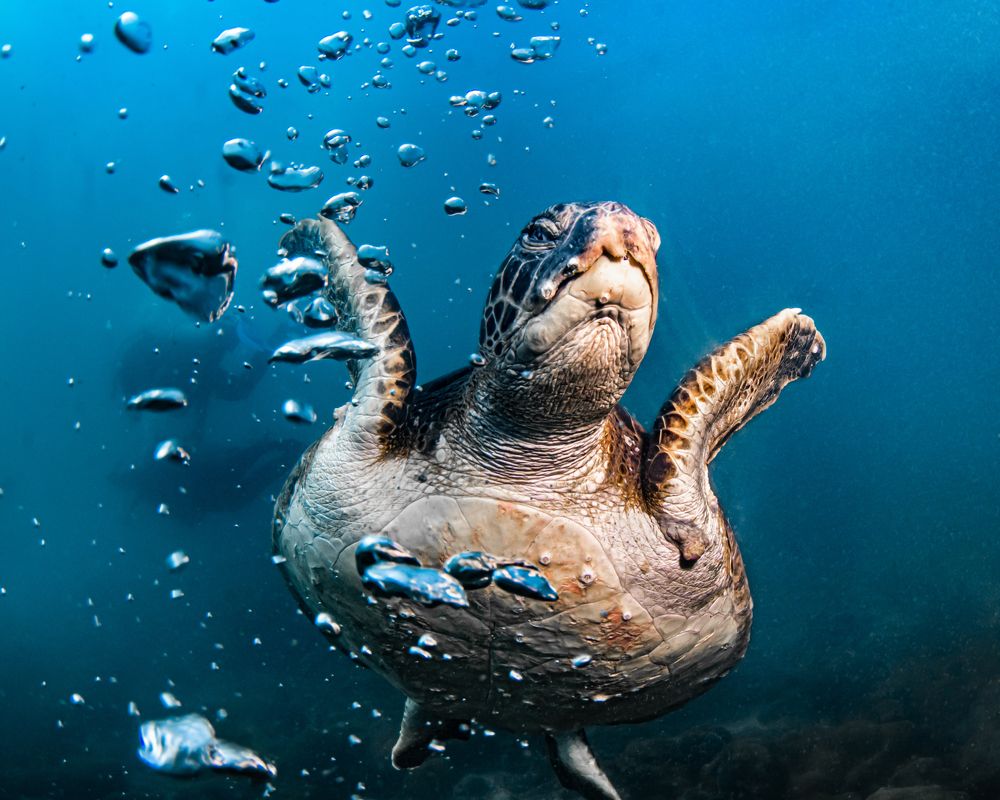 Photograph by Pedro Filadelfo