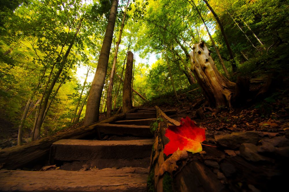 Photograph by Raghuvamsh Chavali