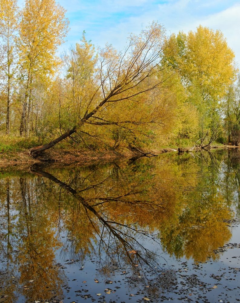 Осенний ерик