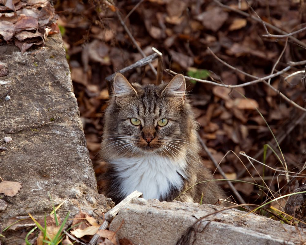 Photograph by Ирина Заворуева