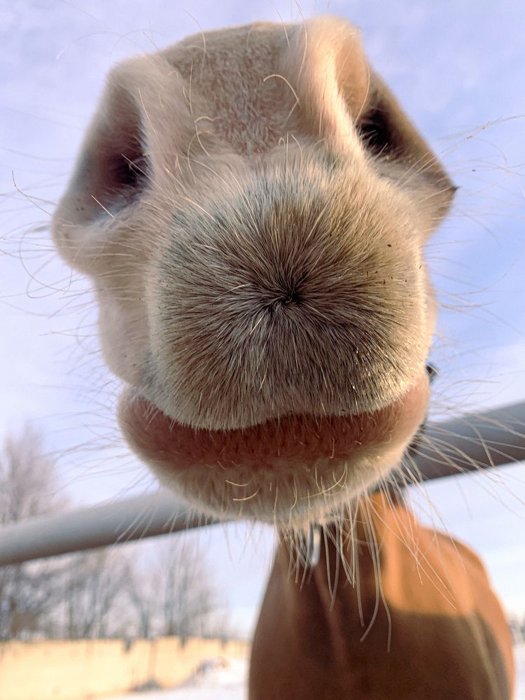 Photograph by Валерия Спирина