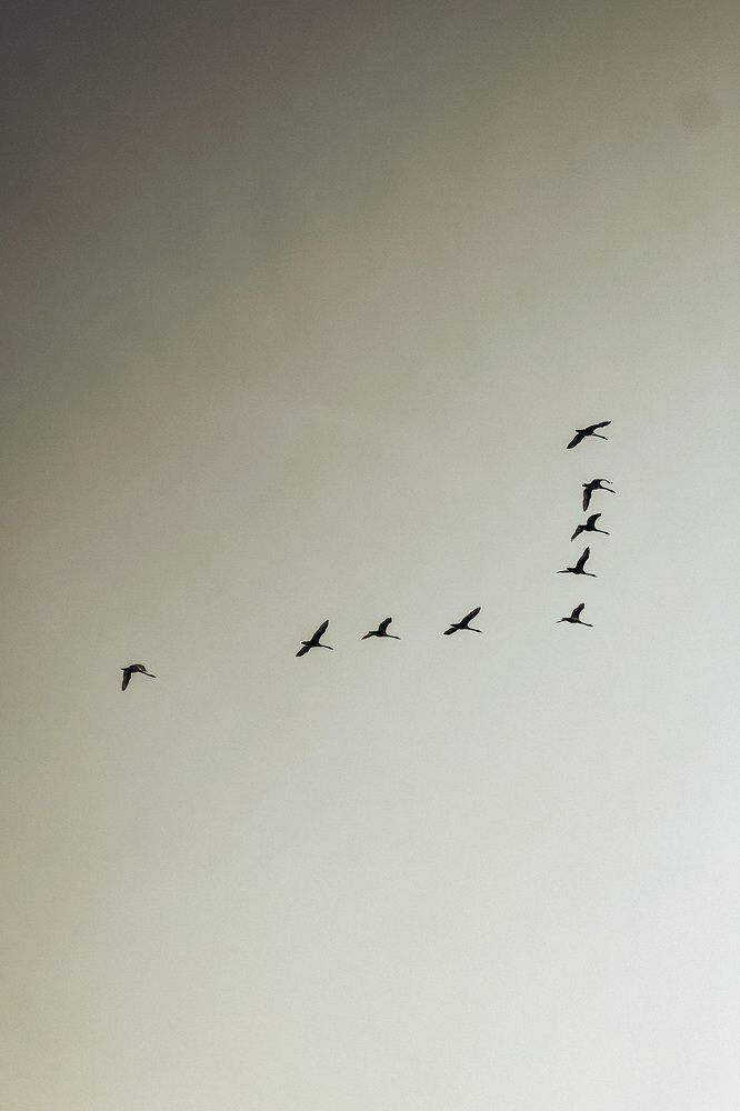 Photograph by Анна Лутошина