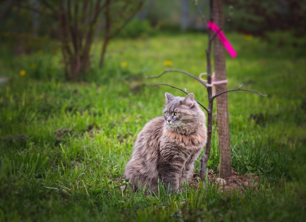Преступление и наказание...
