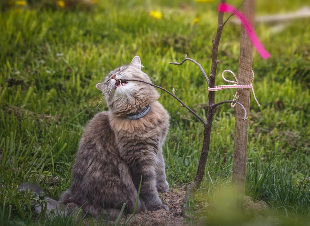 Преступление и наказание...